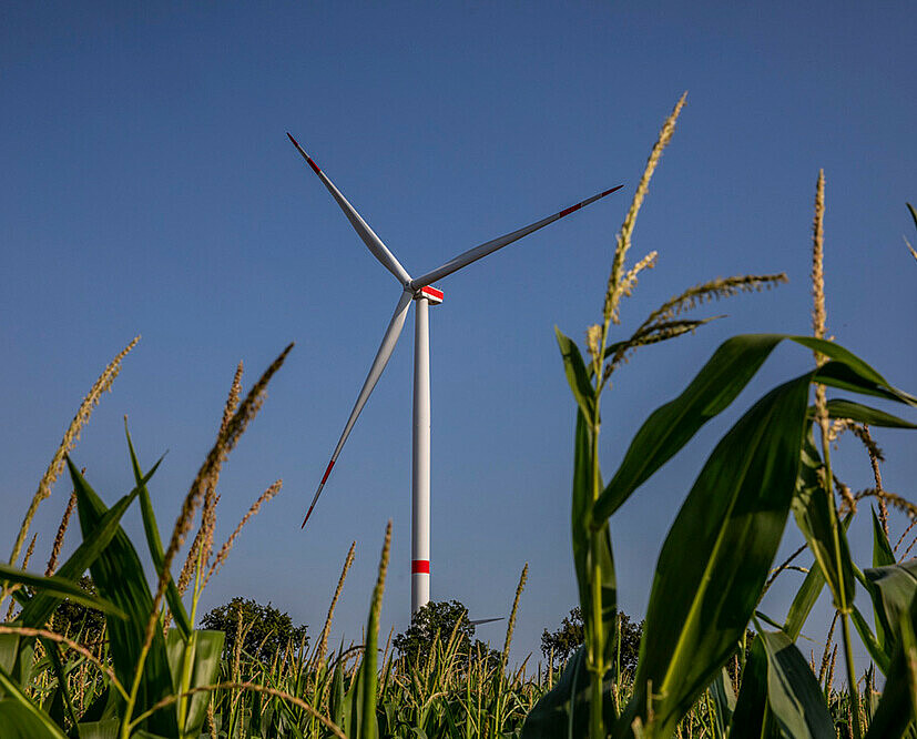 wind farm Gross Niendorf