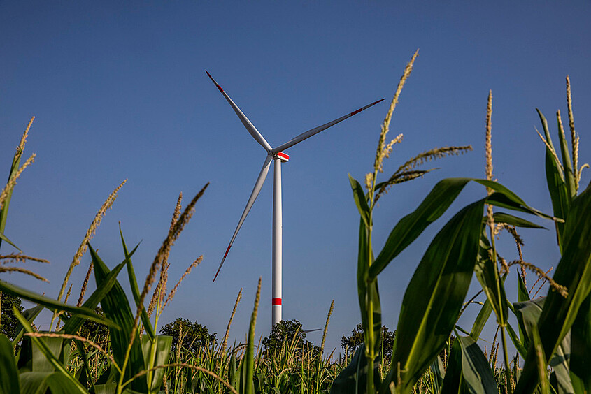 WKN Windpark Gross Niendorf in Schleswig-Holstein